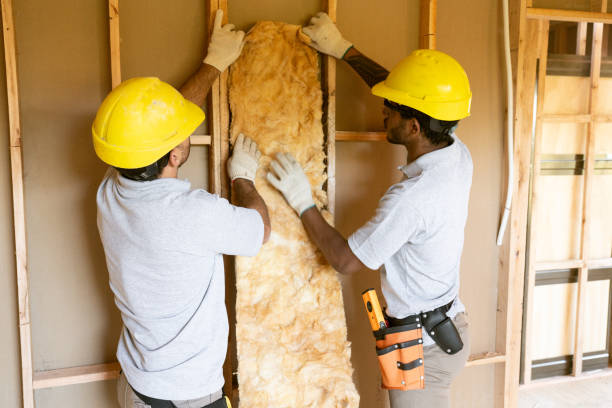 Best Wall Insulation Installation  in Big Le, AK